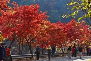 안양시, ‘서울대 안양수목원’ 시민의 품으로 돌아온다···11월 전면 개방