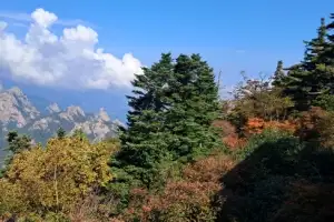 [포토] 울긋불긋 단풍 퍼지는 설악산