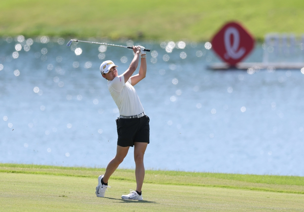 이와이 아키에. 대홍기획 제공