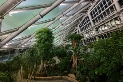 방치됐던 도시공원 부지… 푸른 휴식 공간으로