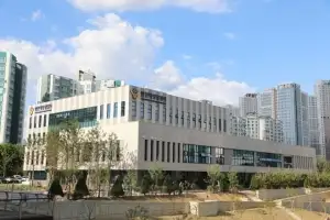 인천 영종도 해안서 탄피 수백발 발견…군 당국 조사