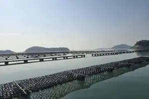 전남도, ‘케이(K)-김’ 세계화 총력