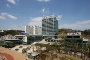 경북 포항시, 2035년까지 농식품 수출 500억원 달성…‘딸기’ 집중 육성