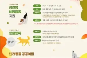서대문구, 가을철 ‘댕냥이’ 광견병 예방접종 지원