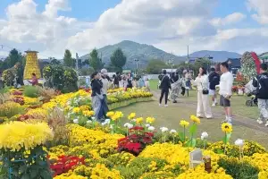 경북 경주시 대표 축제로 자리잡은 ‘황금정원 나들이’…21만명 다녀가