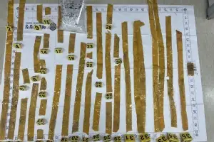 66만명분 동시 투약 가능… 성산 해안에서 마약류 ‘케타민’ 발견