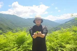 지리산 3대 청년, ‘임업 혁신’으로 연 1억 벌다