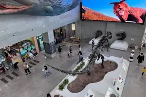 서대문구민이면 서대문자연사박물관 무료 관람