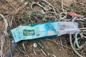 제주 이어 포항 해변서도…중국산 우롱차 포장재 속 마약 의심 물질 발견