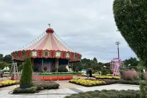 함평 국향대전, 마법의 국향랜드로 변신