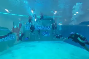 척수 장애인들의  스쿠버다이빙 체험... ‘그 어느때보다 자유로웠다’