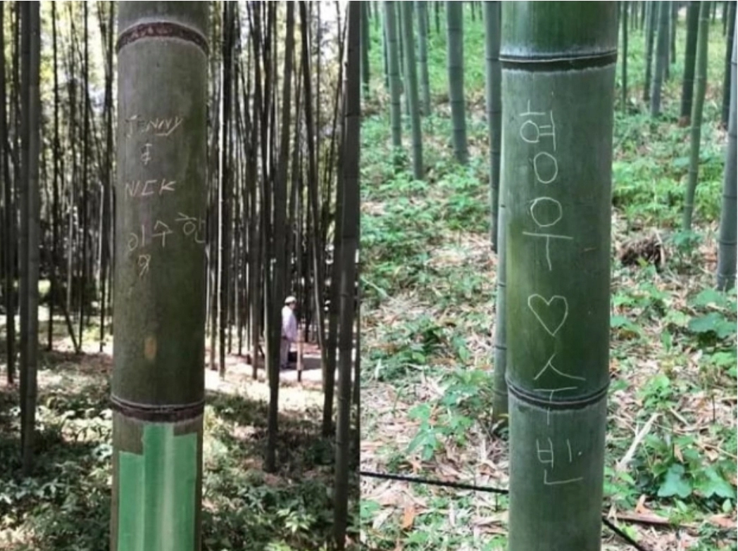 일본 교토 명소 중 하나인 아라시야마의 대나무숲 산책로에서 발견된 한글 낙서. 서경덕 교수 제공