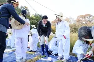 도봉구, 무수골 논서 벼 수확…도심 속 추수한마당