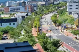 도심~산림 잇는 ‘도시바람길숲’… 울산시, 올해 2곳 조성