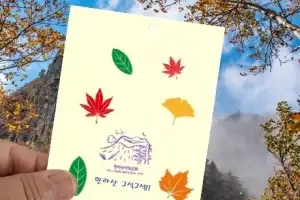 자연환경해설사와 함께… 한라산 영실서 가을단풍 만나요