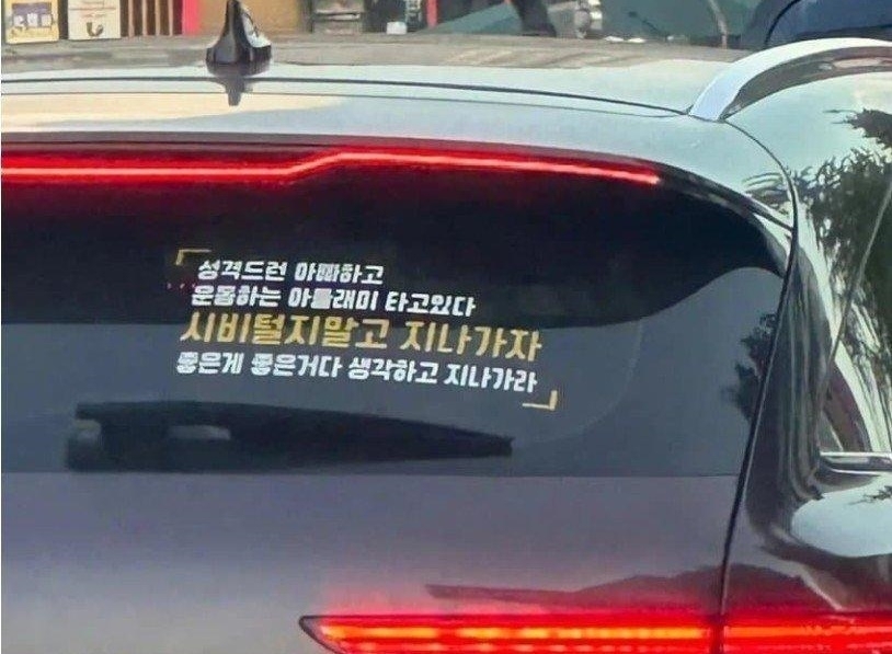 초보 운전을 알리는 등 배려를 부탁하는 목적으로 부착하는 차량 스티커에 위협적인 문구를 새긴 한 차량이 포착돼 눈살을 찌푸리게 하고 있다. 보배드림 캡처