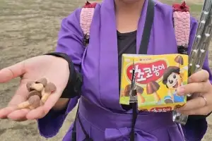 “한국 과자 쓰레기가 나라 사슴공원에” 저격한 여성… 일본 네티즌들에 뭇매 왜