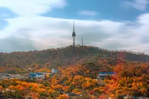남산타워가 6위인데…서울 ‘대표 가을명소’ 타이틀 거머쥔 이곳