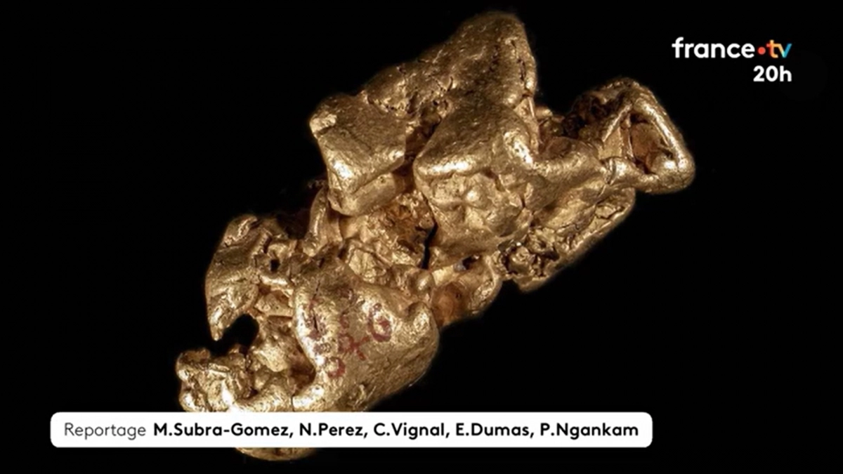 21일(현지시간) 파리 검찰청은 24세 중국인 여성을 조직적 절도 및 범죄 공모 혐의로 지난 13일 예비 기소했다고 밝혔다. 이 여성은 지난달 16일 새벽 파리 국립자연사박물관에 침입해 총 6㎏ 상당의 금덩이를 훔쳐 달아난 혐의를 받는다. 사진은 피해 유물. 2025.10.21 프랑스tv 화면