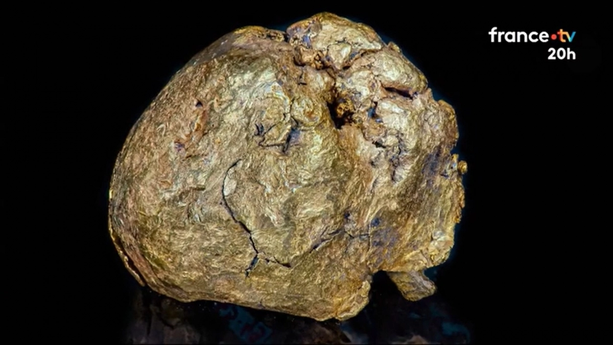 21일(현지시간) 파리 검찰청은 24세 중국인 여성을 조직적 절도 및 범죄 공모 혐의로 지난 13일 예비 기소했다고 밝혔다. 이 여성은 지난달 16일 새벽 파리 국립자연사박물관에 침입해 총 6㎏ 상당의 금덩이를 훔쳐 달아난 혐의를 받는다. 사진은 피해 유물. 2025.10.21 프랑스tv 화면