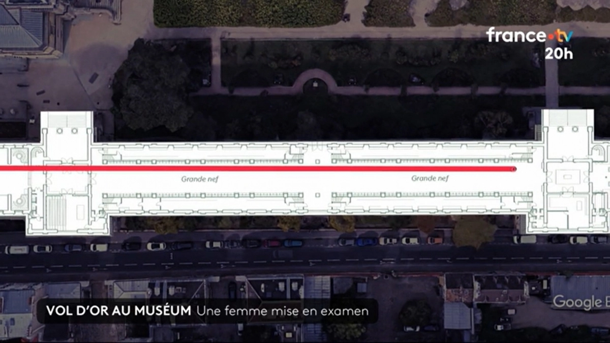 21일(현지시간) 파리 검찰청은 24세 중국인 여성을 조직적 절도 및 범죄 공모 혐의로 지난 13일 예비 기소했다고 밝혔다. 이 여성은 지난달 16일 새벽 파리 국립자연사박물관에 침입해 총 6㎏ 상당의 금덩이를 훔쳐 달아난 혐의를 받는다. 사진은 범행 재연 그래픽. 2025.10.21 프랑스tv 화면