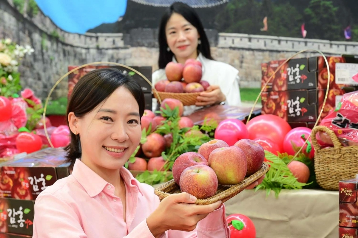 23일 서울 서초구 하나로마트 양재점에서 모델들이 올해 처음 판매하는 _감홍 사과_를 선보이고 있다.  사진- 하나로마트 제공