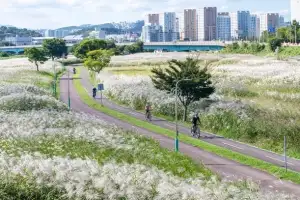 철새·연어·수달·갈대… 울산 태화강 생태 ‘보고’