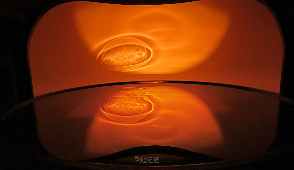 사일로랩·박근호 ‘묘화’