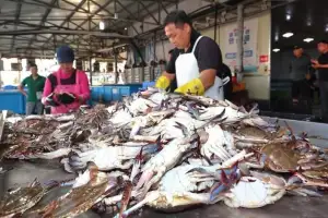 “신선한 충남 수산물 저렴하게”…수산기업 판로 지원