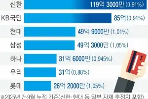 [단독] 소비쿠폰 덕 봤다… 카드사 석 달 수수료 수익 392억