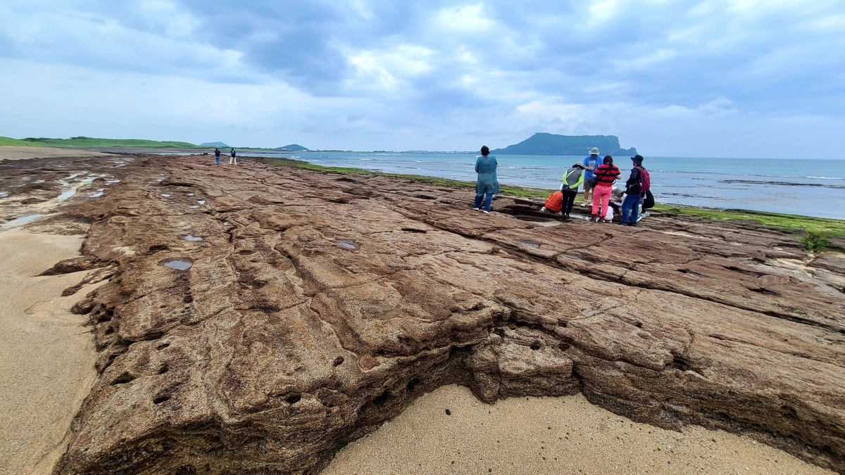 성산일출봉과 신양리층. 제주자연의벗 제공