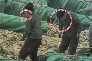 담배 피우다 “캬악, 퉤”…中 이번엔 ‘가래침 배추’ 파문