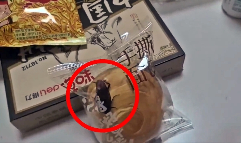 26일 홍성신문에 따르면 중국 장쑤성 난퉁 소비자 A씨는 전날 소셜미디어(SNS)에 바퀴벌레가 산 채로 든 빵 봉지 관련 영상을 올렸다. 2025.10.25 엑스