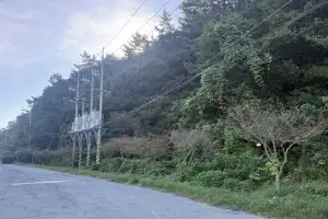 전남산림연구원, 맵시혹나방 방제 연구 나서