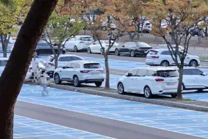 “파란 부분만 피하면 되나?…장애인 구역 ‘꼼수 주차’, 과태료 더 물 수도
