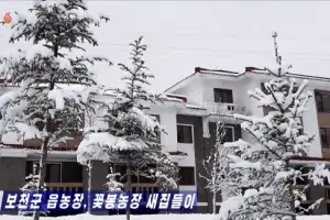 [포토] 함박눈 내린 북한 주택가