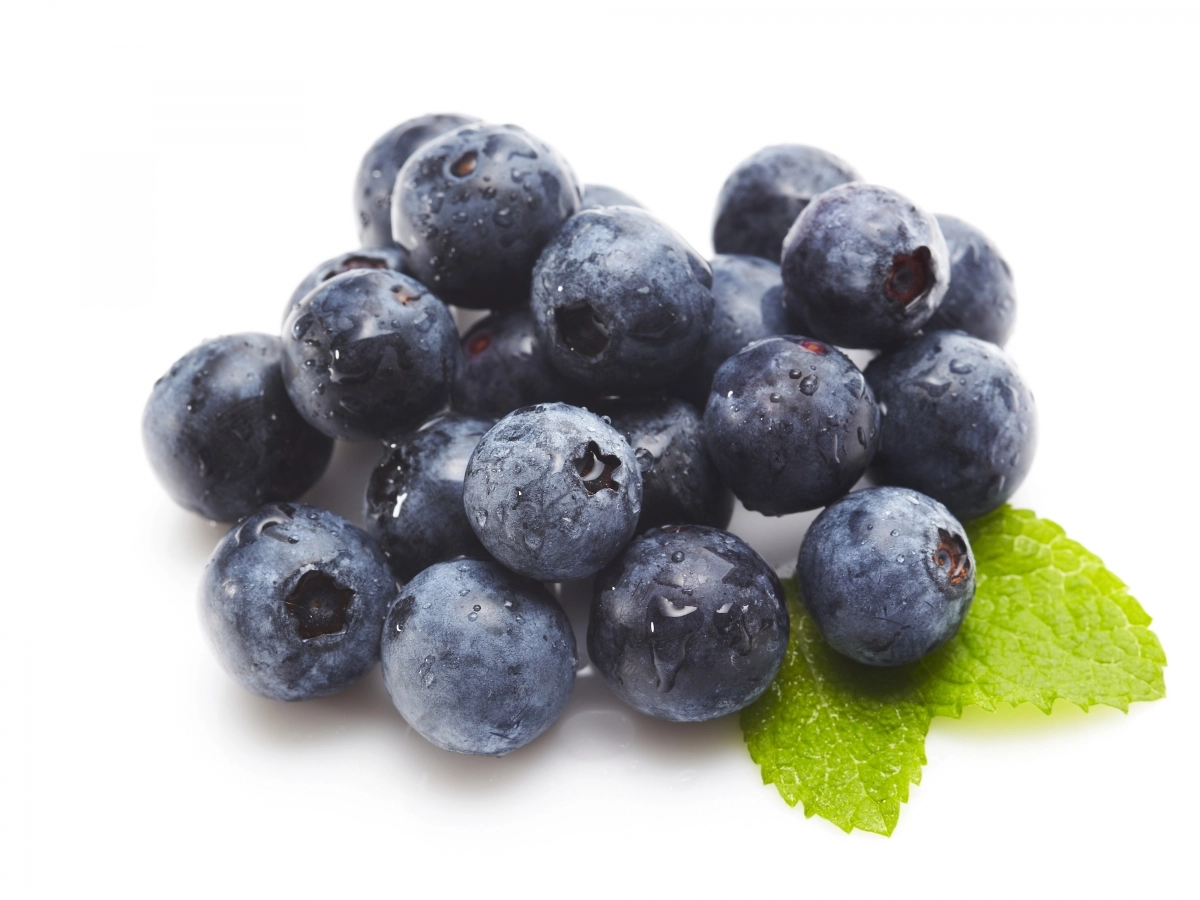 블루베리 자료 사진. 아이클릭아트