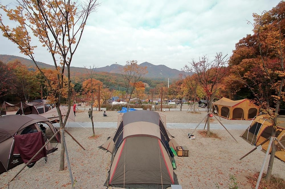 경기 군포의 초막골생태공원 느티나무야영장. 한국관광공사 제공.