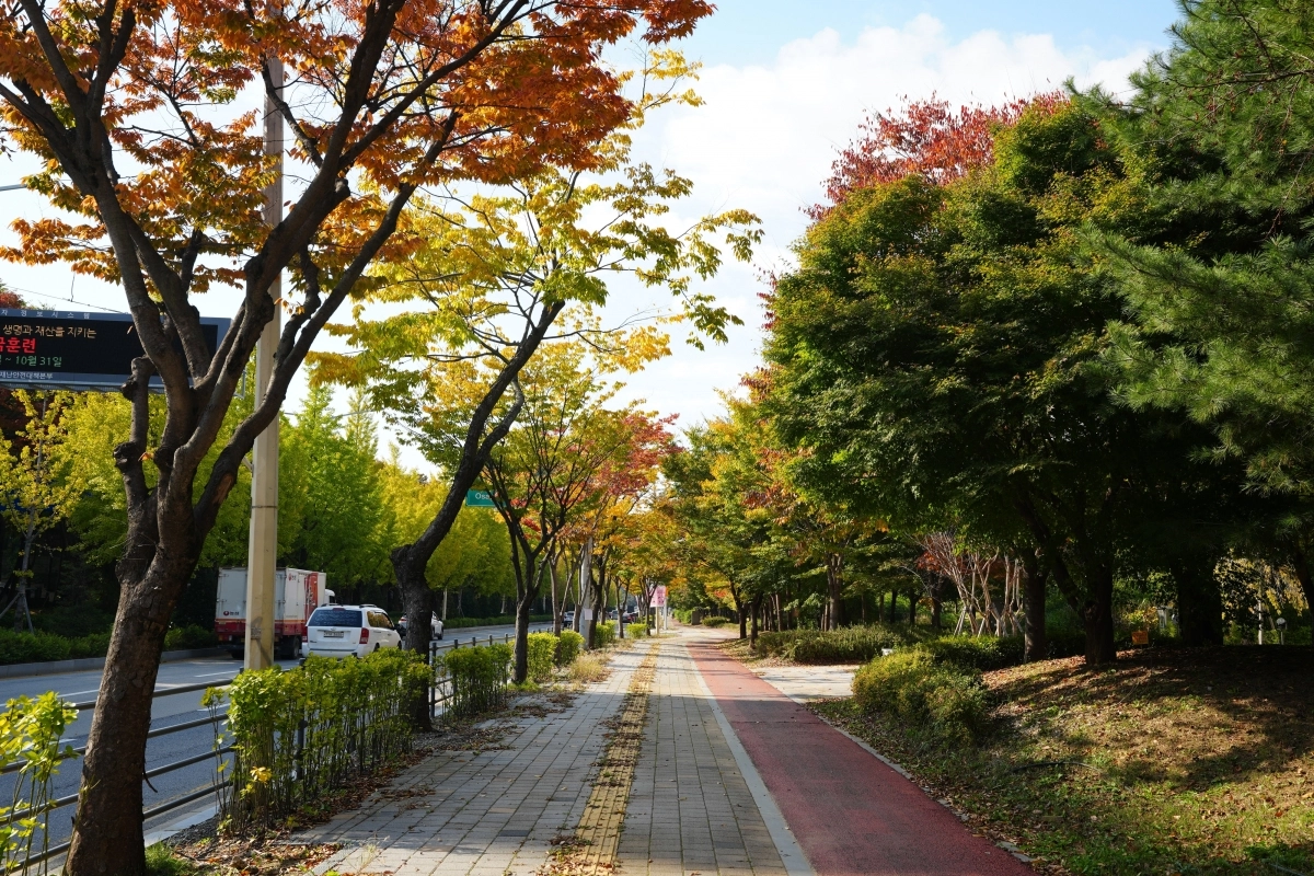 평택시 국도1호선 가로숲길(평택시 제공)