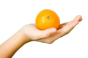 교사에 ‘살충제 뿌린 귤’ 건넨 고교생…“가해 목적 없었다” 판단에 시끌