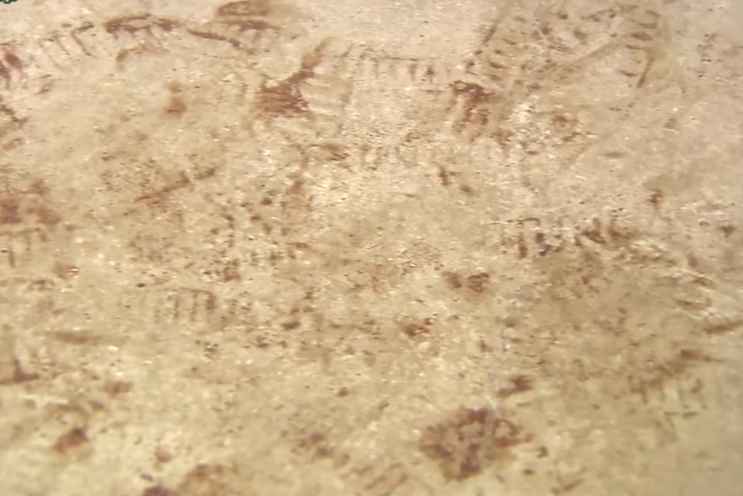 나미코의 남편 다카바는 사건 현장이었던 아파트에 26년간 월세를 내면서 현장을 보존했다. 지금까지 지불한 집값은 2000만엔(약 1억 8580만원)이 넘는다. 사진은 현관 바닥에 남아있는 갈색으로 변색된 혈흔. 니혼TV 캡처