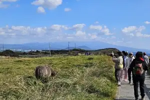 10월 제주 관광객 133만명… 내·외국인 모두 제주로 몰려왔다