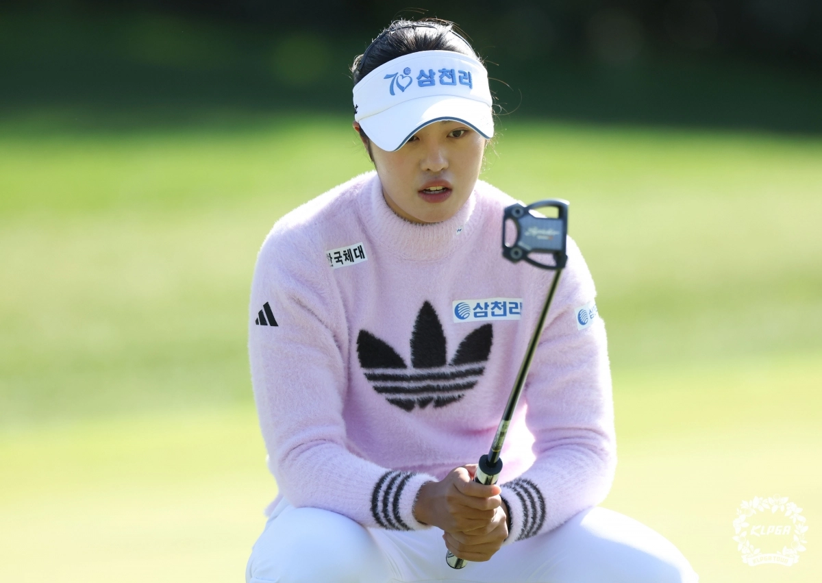 그린 보는 서교림