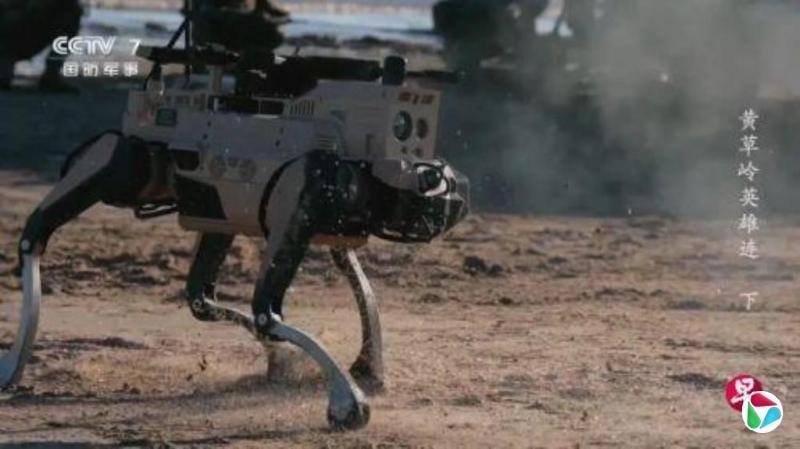 중국 늑대 로봇. 싱가포르 연합조보 캡처
