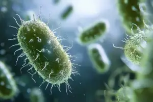 곰팡이 핀 ‘이 음식’ 좀 떼고 먹었다간 큰일…독소가 간암까지, 왜