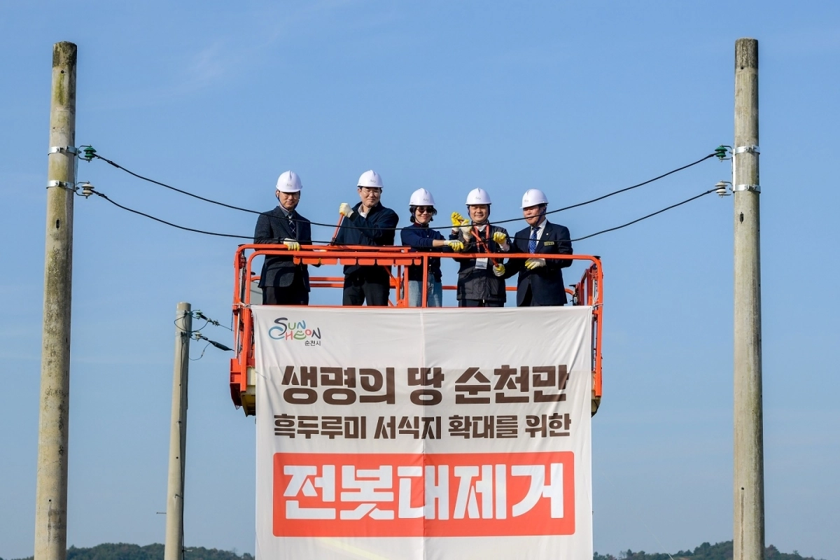 순천만 안풍들에서 순천만 흑두루미 국제 심포지엄 부대행사인 전봇대 제거 행사로 노관규 시장이 전선을 자르고 있다.