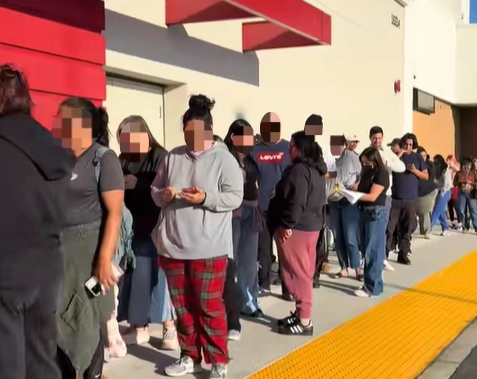 스타벅스가 한정판으로 선보인 ‘베어리스타 콜드컵’을 구매하기 위해 고객들이 미국의 한 매장에 줄을 서 있는 모습. 틱톡 캡처