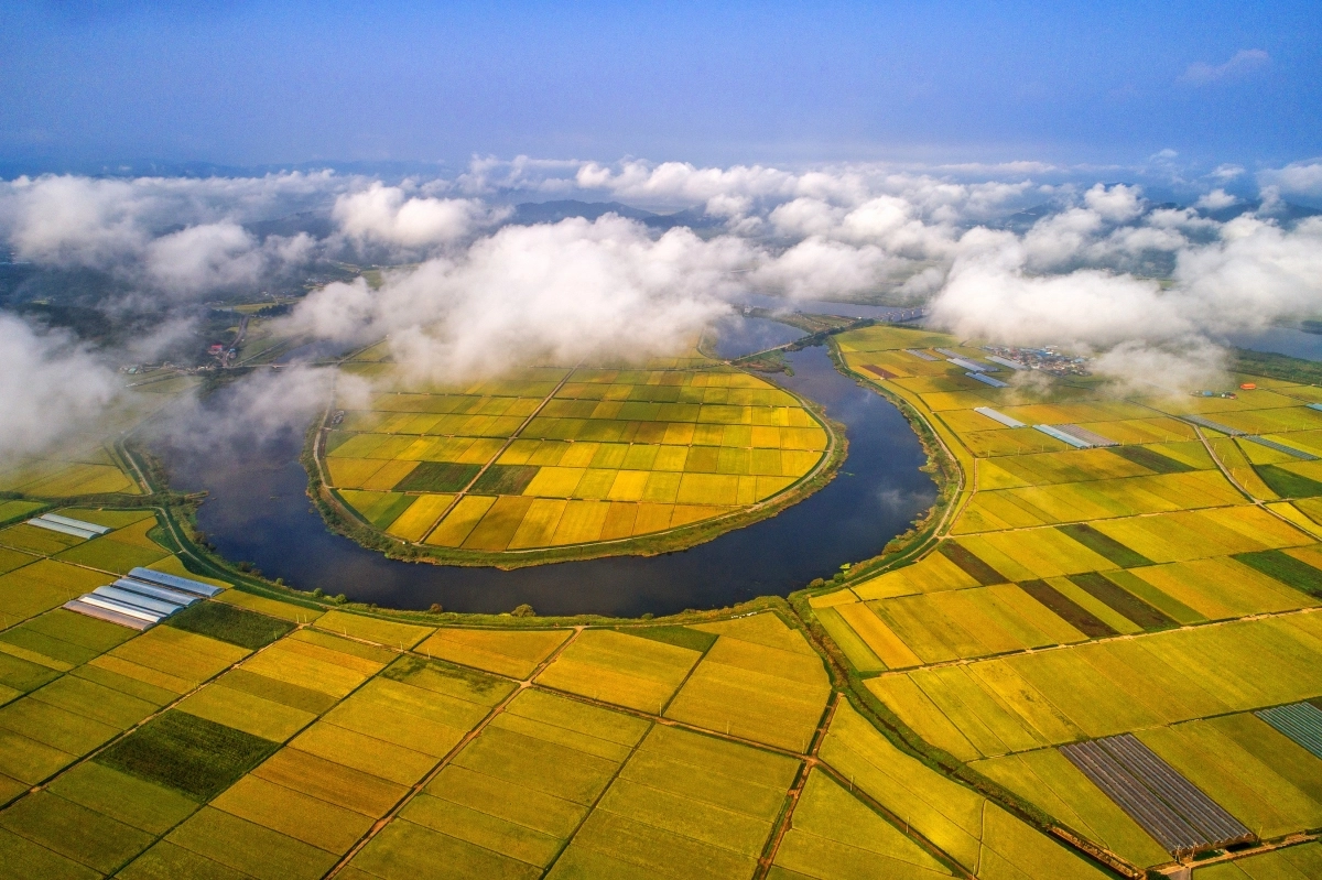 남도의 젖줄 영산강을 품은 나주평야.  나주시 제공