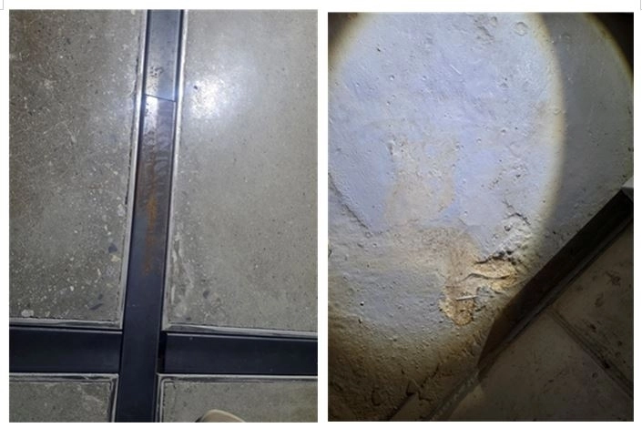 서서울미술관 지하 1층 전시실, 다목적홀 등 바닥, 벽면에 곰팡이가 발생했다.