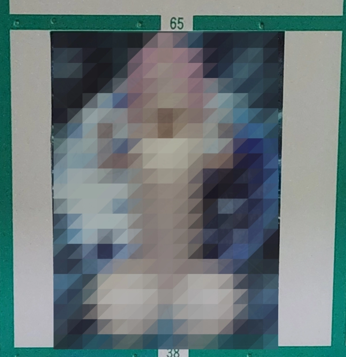 지난 9일 치러진 도쿄도 가쓰시카구의회 선거 기간 중 남성 성기를 본뜬 듯한 후보자의 선거 포스터(사진)가 구내 선거 벽보판 48곳에 게시됐다. 엑스(X) 캡처